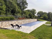 Pool Built by Subcomm Pools in Leesburg, VA